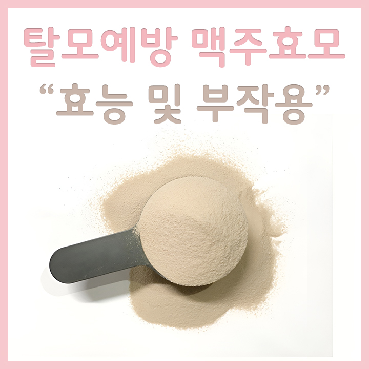 맥주효모-분말