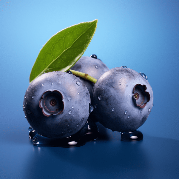 자연의-파란-영양제-블루베리