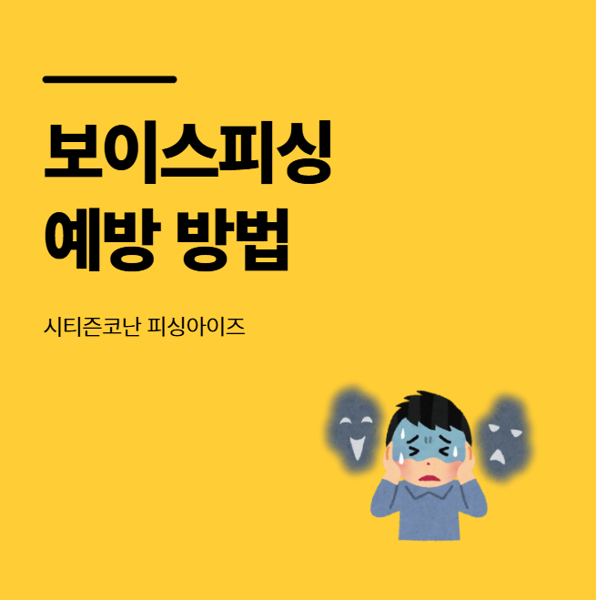 시티즌코난 피싱아이즈 보이스피싱 예방 방법