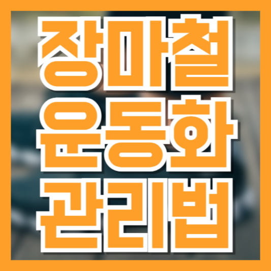 장마철 젖은 운동화 관리법, 냄새·곰팡이 없이 말리는 꿀팁!