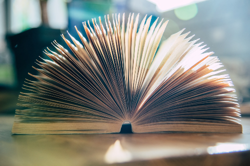 실패를 통한 학습