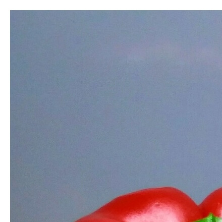 파프리카효능