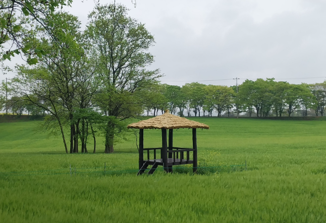 고창 생활비 줄이는 실제 루틴— 돈을 아끼려 애쓰지 않아도 지출이 낮아지는 생활 구조 만들기