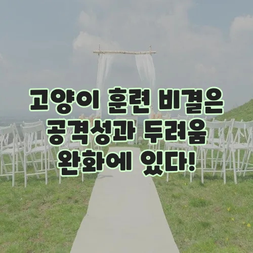 고양이 훈련 비결은 공격성과 두려움 완화에 있다!