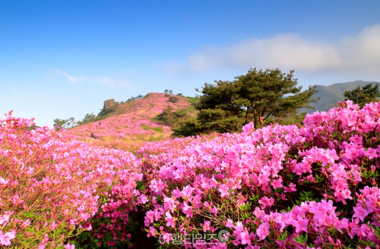 제암산