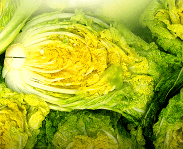 절임배추 20kg 가격 비교