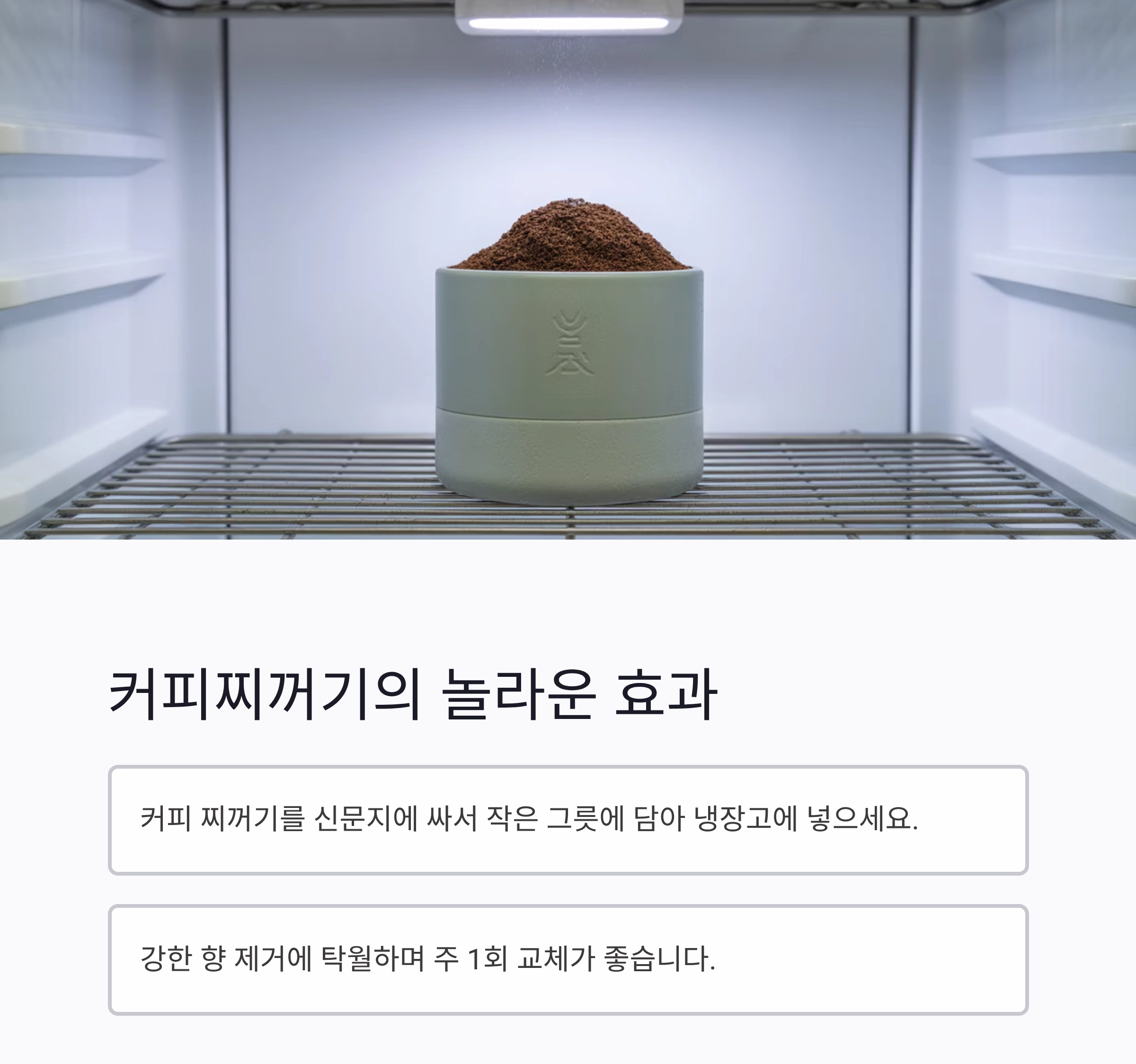 냉장고 냄새 싹 잡는 재료, 이것만 알면 끝!