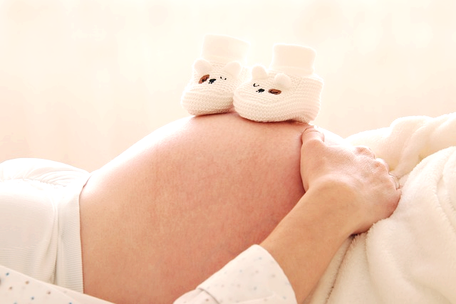 송파구 임신관련사진