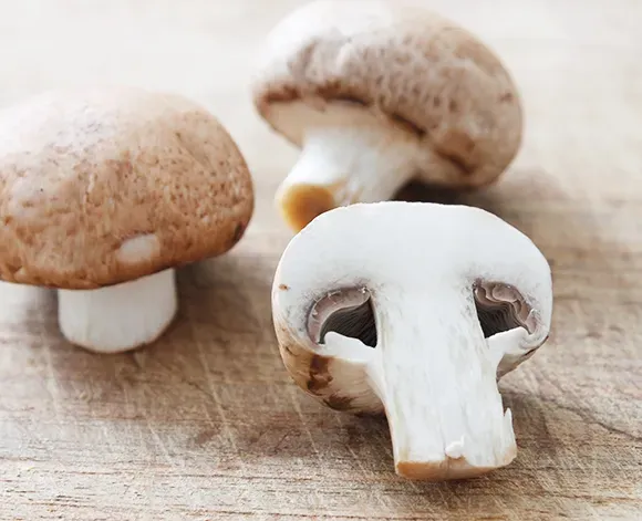 양송이버섯 제철 손질법과 볶음 요리 보관까지 전부 알려드립니다_1