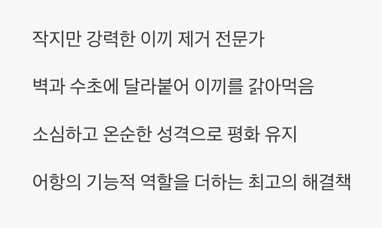 BEST 3: 이끼 제거의 스페셜리스트, 오토싱