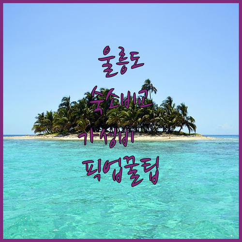 울릉도 숙소 위치와 서비스 비교 섬모..