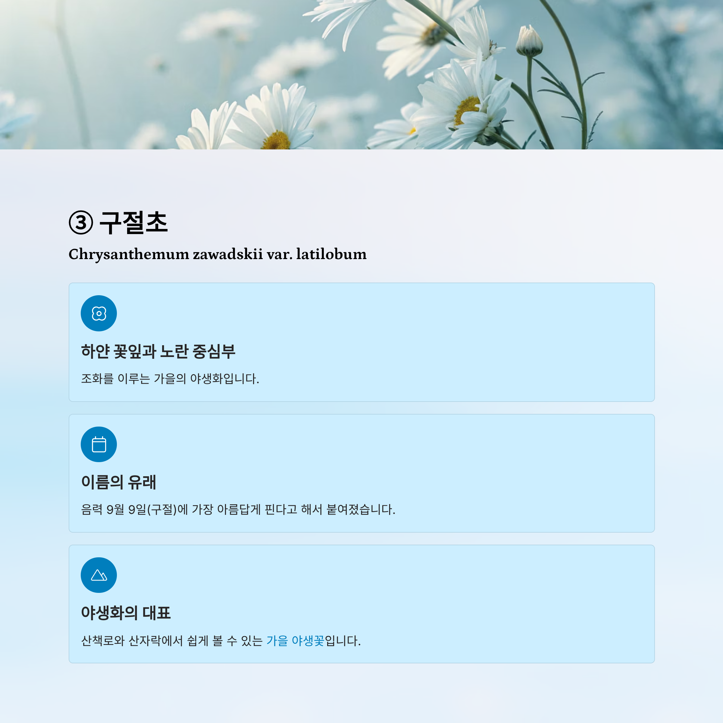 가을꽃 종류 알아보기