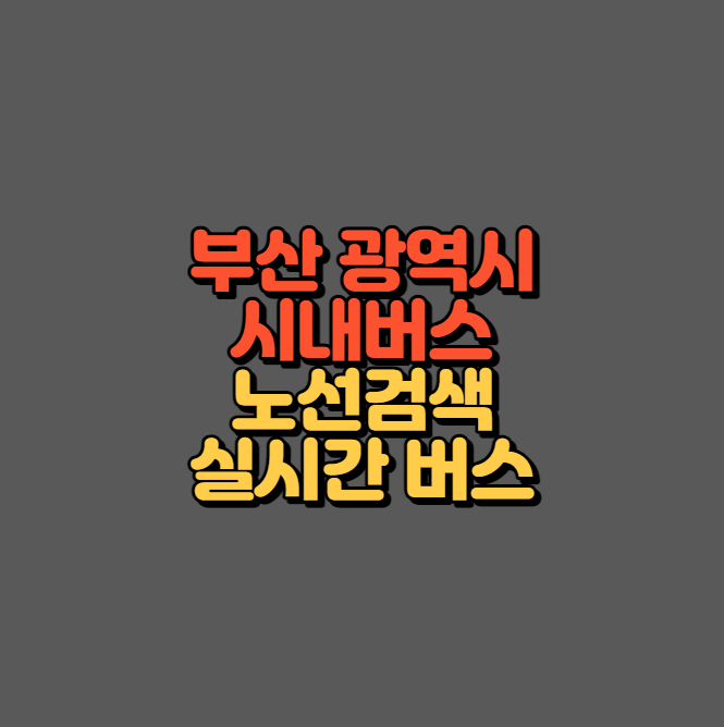 부산 시내버스 섬네일