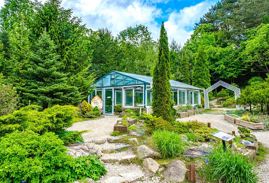 마이애니멀스토리