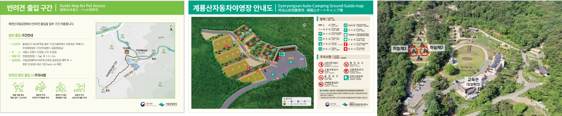 반려견 동행