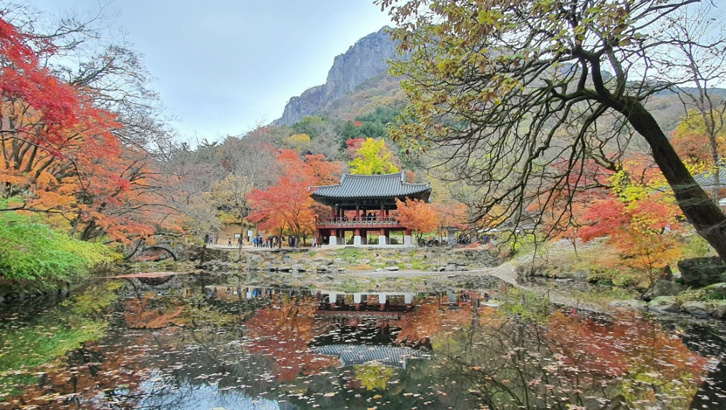 정읍 내장산 자연휴양림