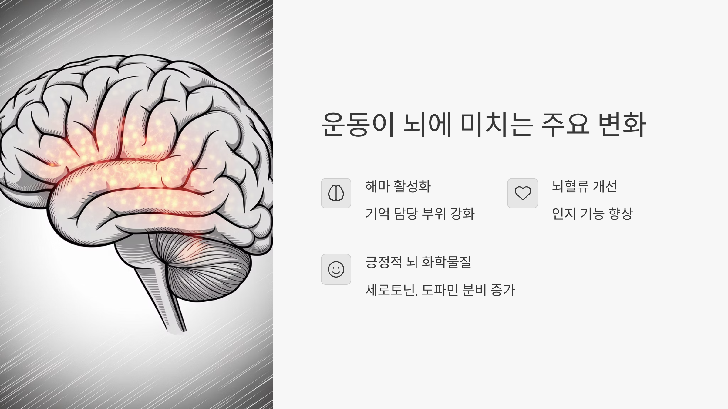 운동이 뇌에 미치는 영향