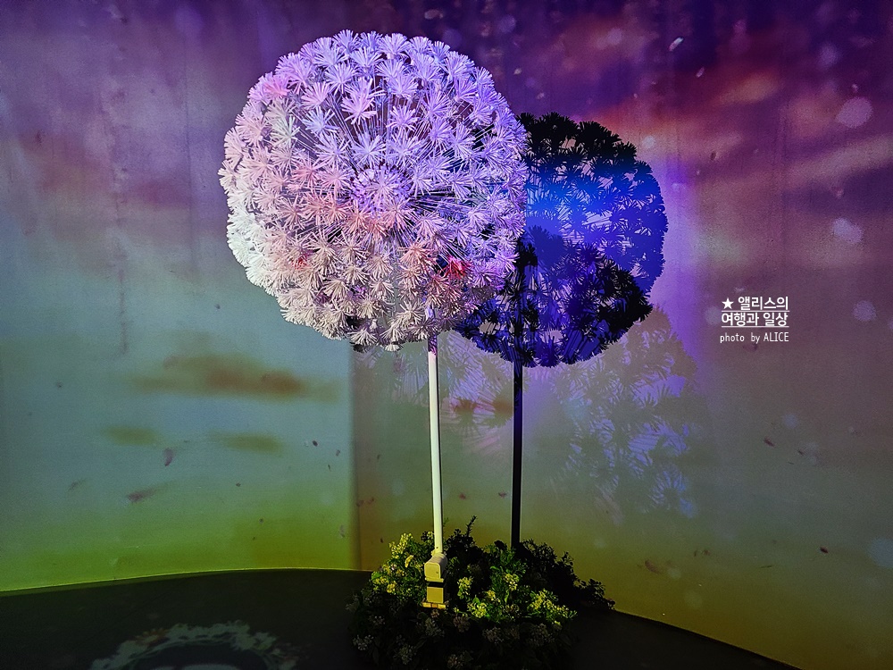 플라워바이네이키드 홍대 놀거리 입장료 23% 할인예매방법, 즐기는 꿀팁 네가지