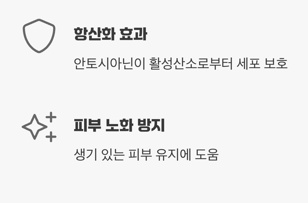 자두청, 피부를 위한 붉은 보석, 항산화 효과