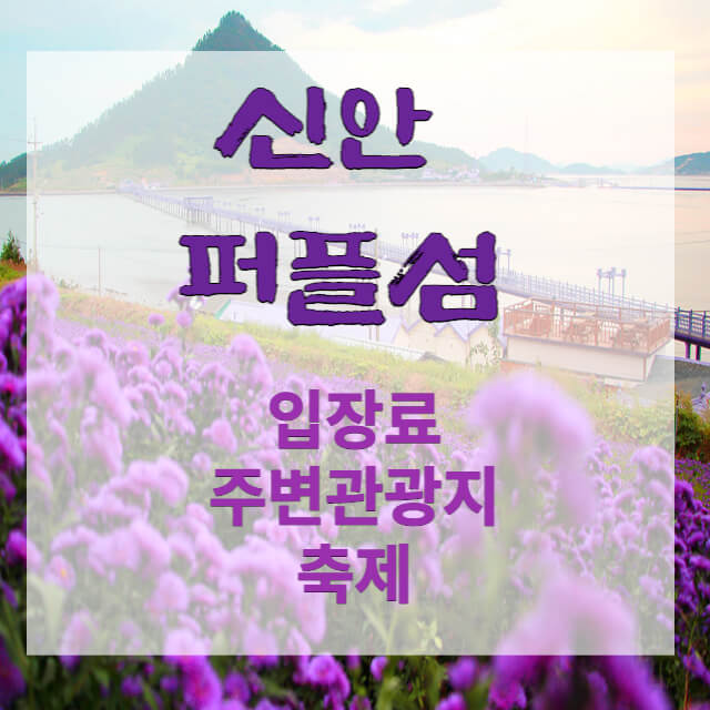 신안 퍼플섬