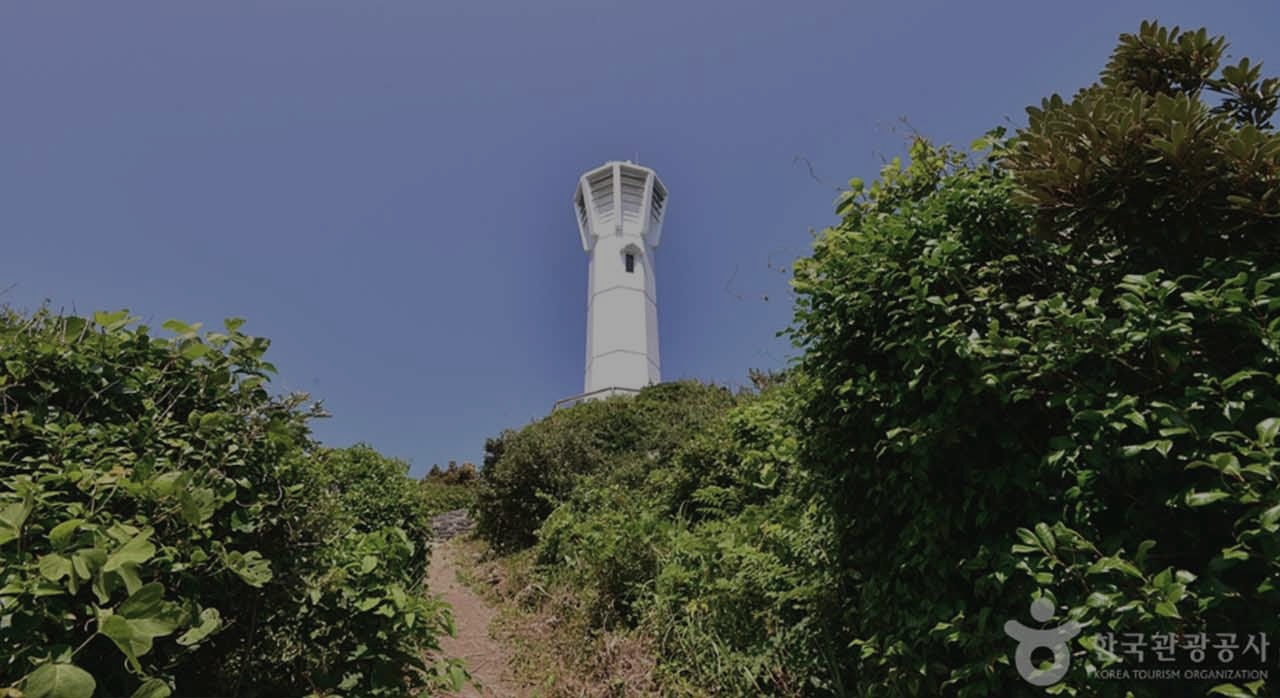 동백나무가 터널을 이루는 거문도 숲길. [ⓒ대한민국 구석구석]