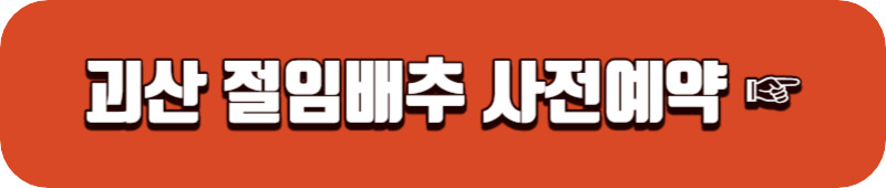 괴산-절임배추-사전예약-링크버튼