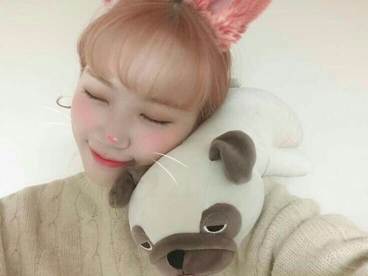김채원 사진 모음 김채원 사진 모음
