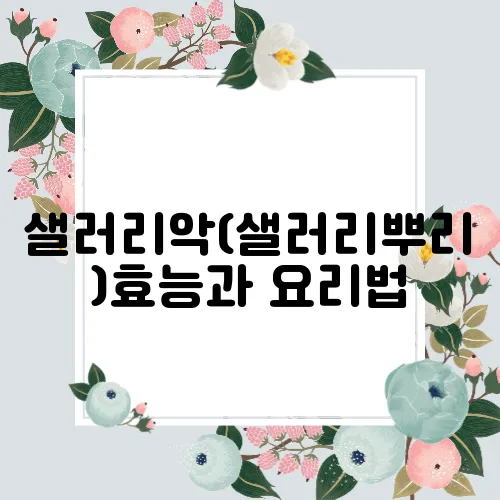 샐러리악(샐러리뿌리)효능과 요리법