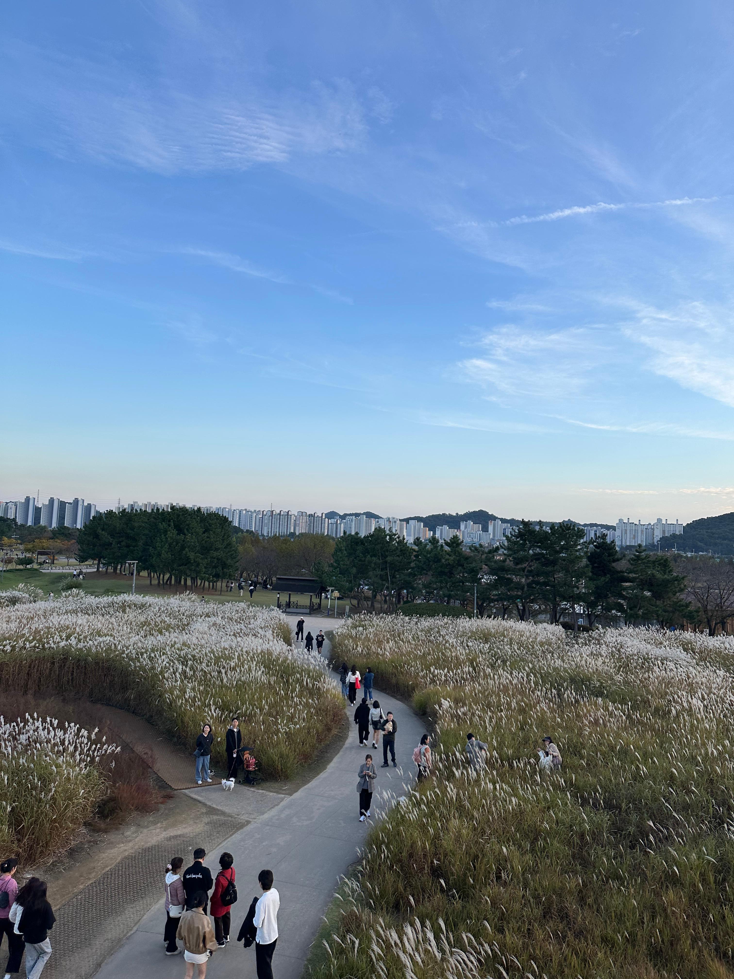 시흥 갯골생태공원 가을 나들이 후기-3