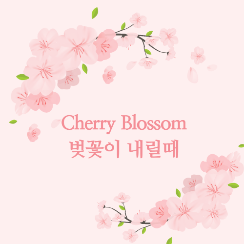 일본 벚꽃 개화 시기