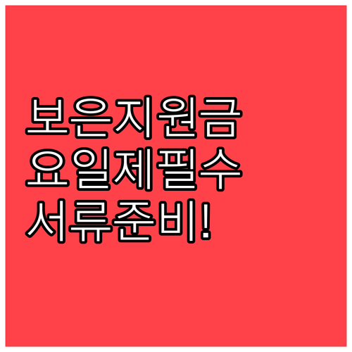 2026 보은 민생회복지원금 신청 요..