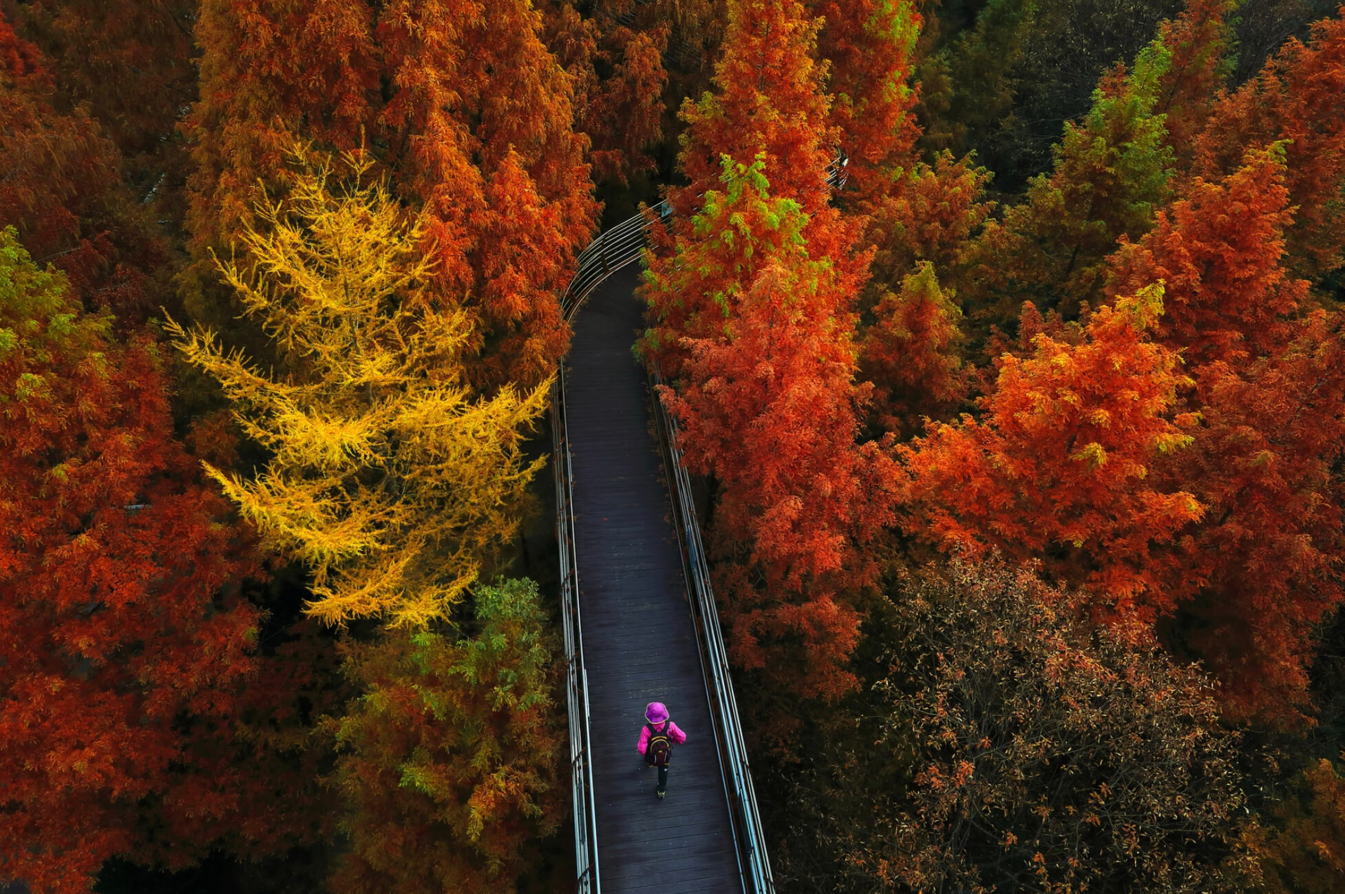 대전 장태산 자연휴양림 3