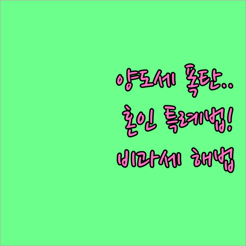 2025년 양도세 개정 혼인 특례 확..