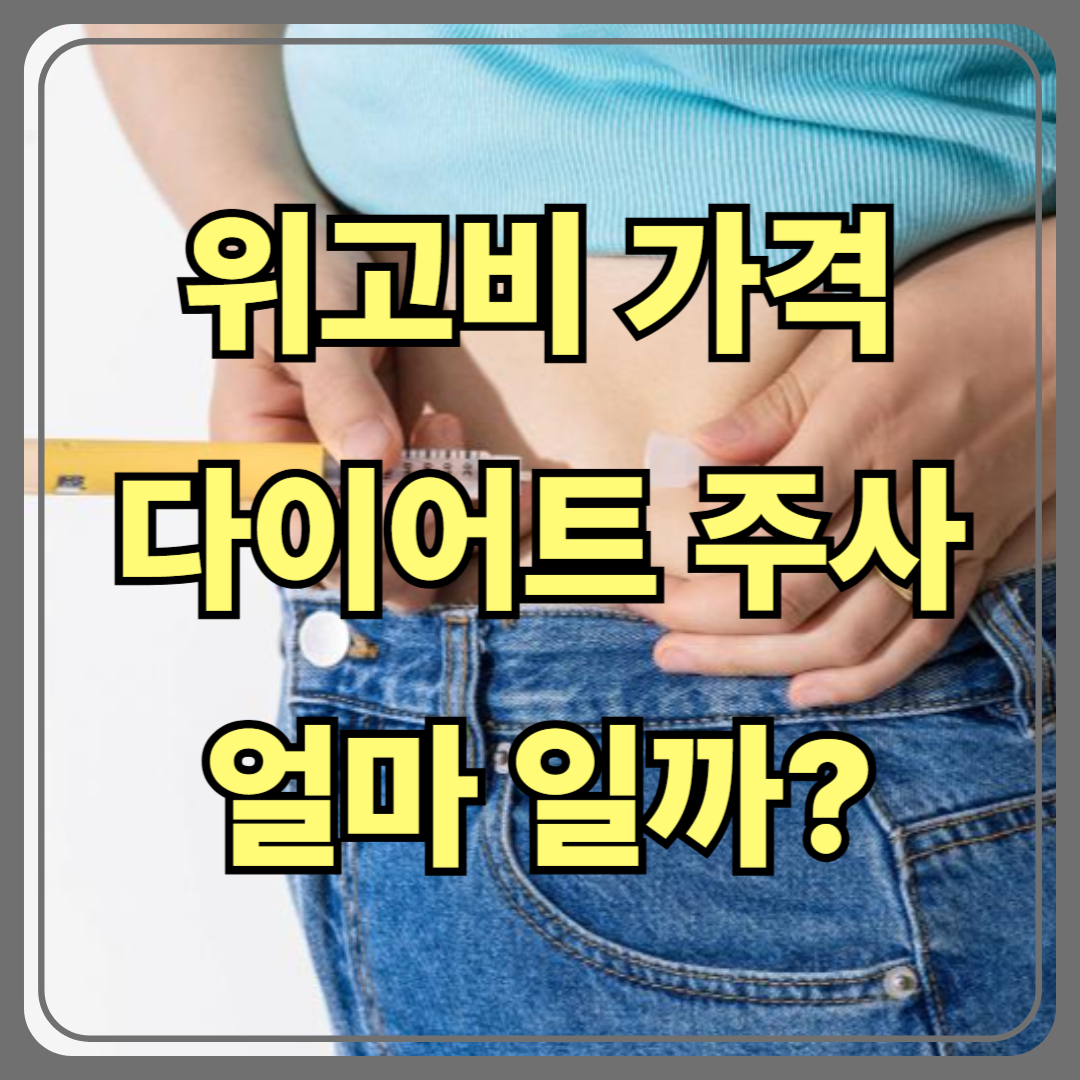 위고비 가격(다이어트 주사) 얼마일까?