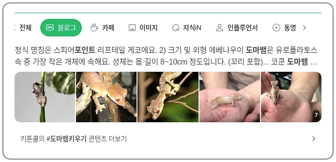 도마뱀 키우기 포인트_1_subsection