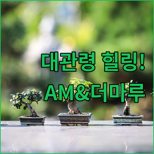 정적 치유를 위한 율곡면 대관령 숙소..
