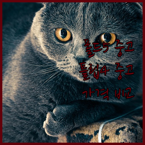 중고 갤럭시 Z 폴드5, Z 폴드3,..