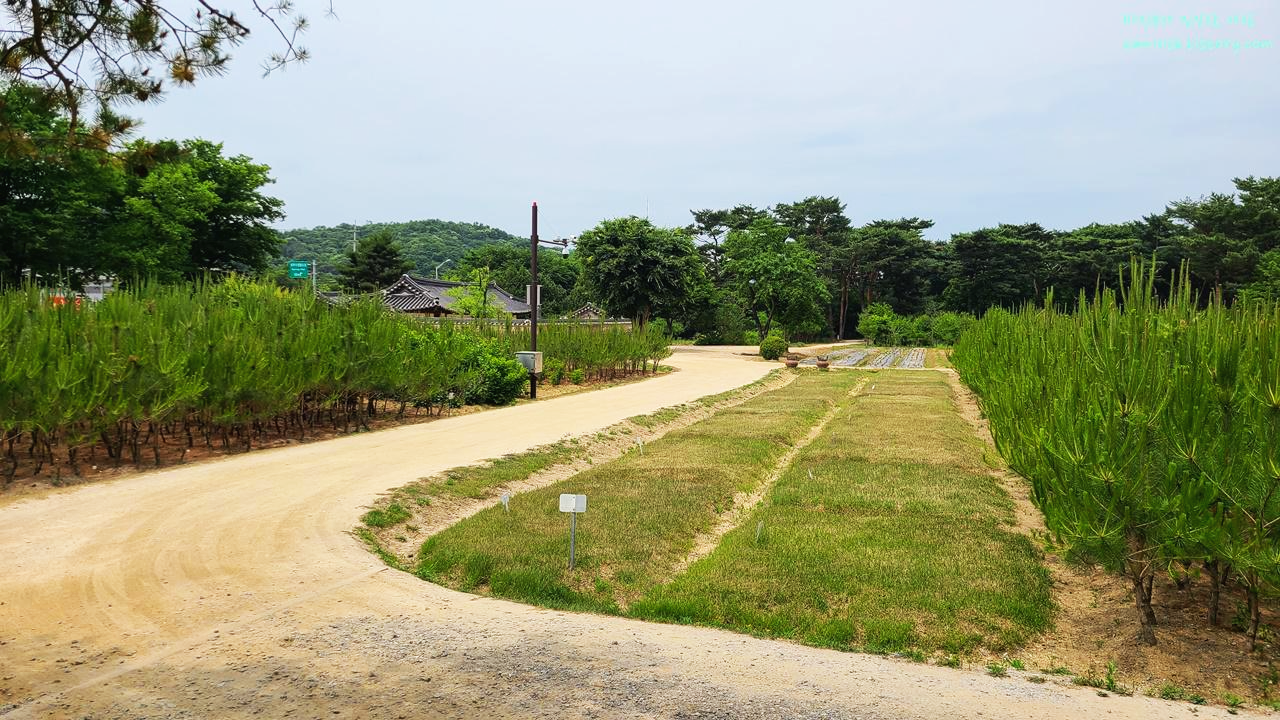 남양주-사릉-양묘장