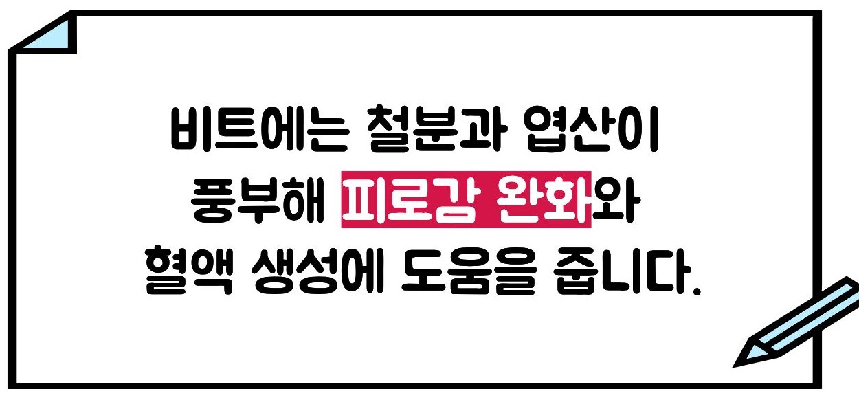 비트 효능