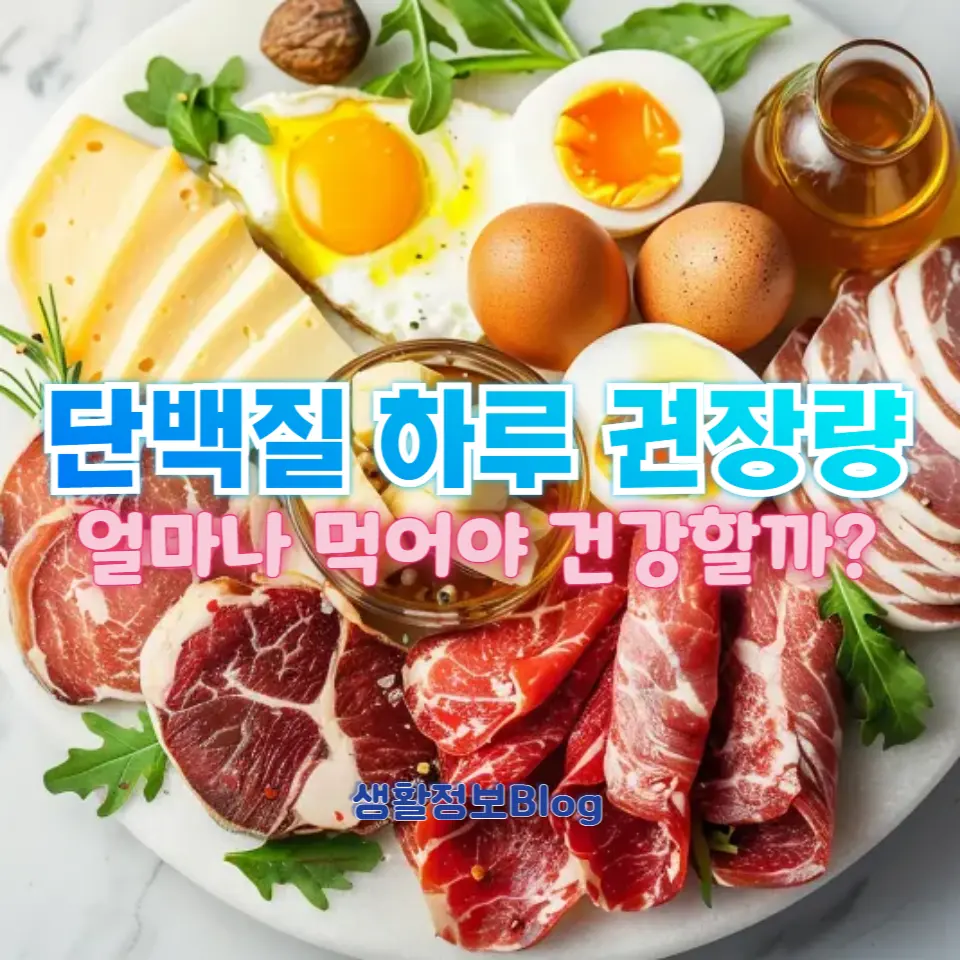 단백질 섭취 가이드