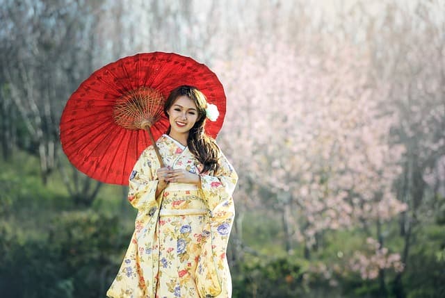 살풀이춤의 정화(淨化)적 기능