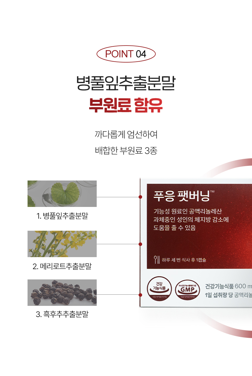 푸응 팻버닝 나이트버닝 다이어트