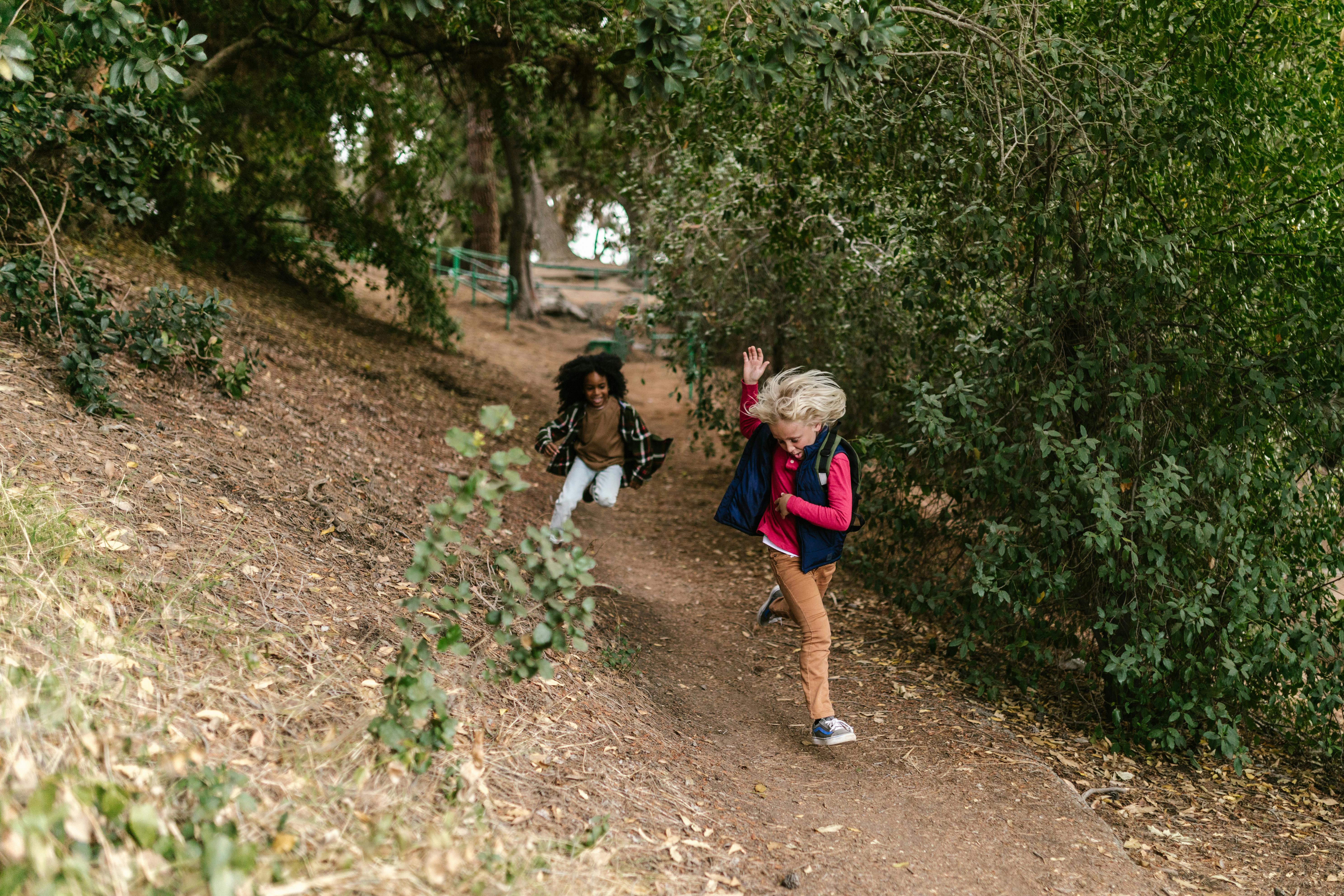 좀비 꿈 설명 이미지