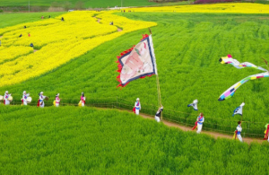 5월에 방문하는 축제 BEST 7