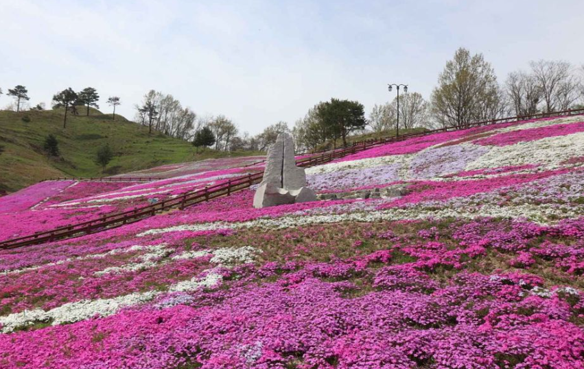산청 생초국제조각공원