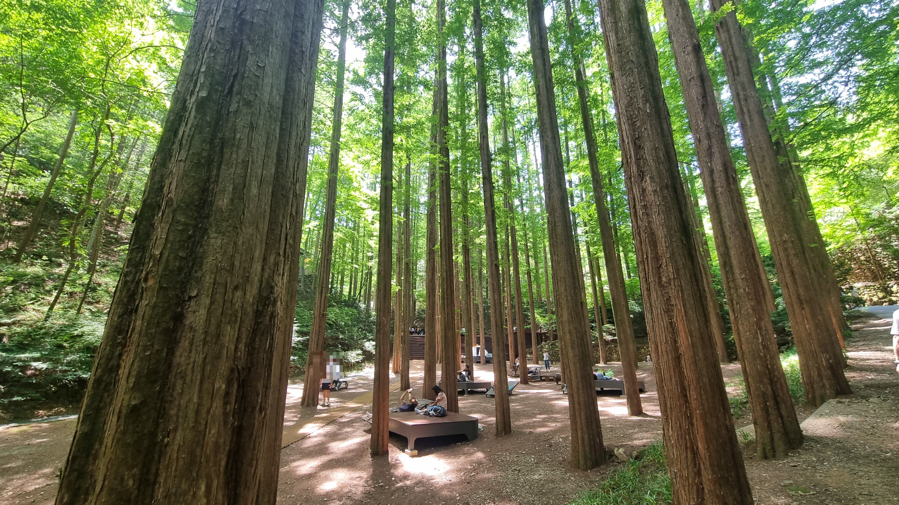 장태산자연휴양림