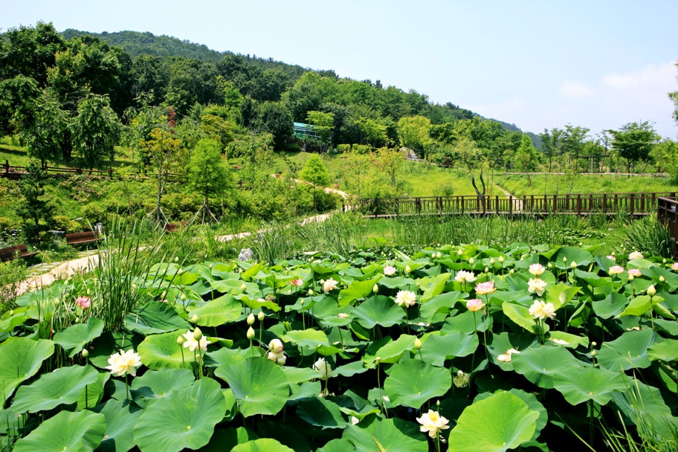 바다향기수목원