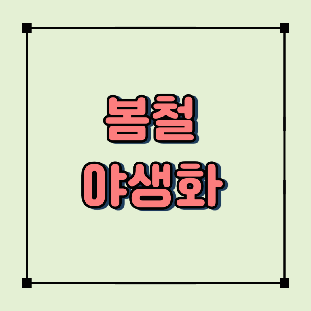 봄철 야생화! 4월에 만나는 자연의 선물과 그 활용법 🌿