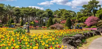 경기도 봄 여행지 추천 10곳 완벽 코스 가이드북_20