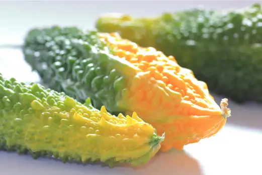 여주 효능 및 부작용&amp;#44; 여주 먹는 방법